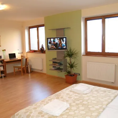 Apartment Topolova